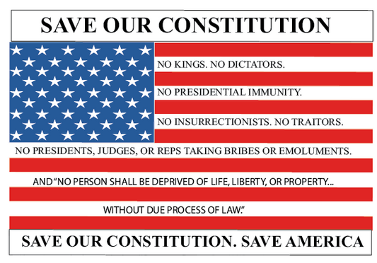 SAVE OUR CONSTITUTION